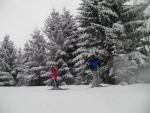 Vacances dans les Vosges